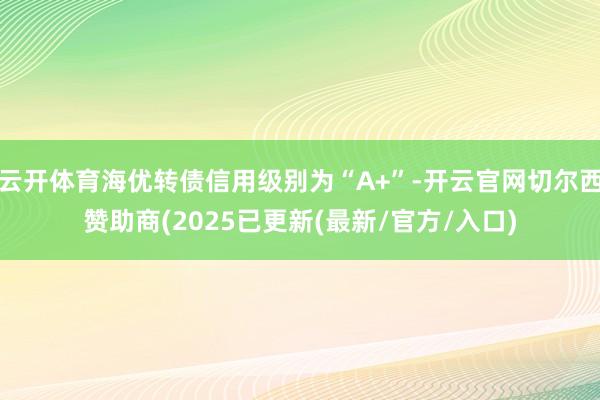 云开体育海优转债信用级别为“A+”-开云官网切尔西赞助商(2025已更新(最新/官方/入口)
